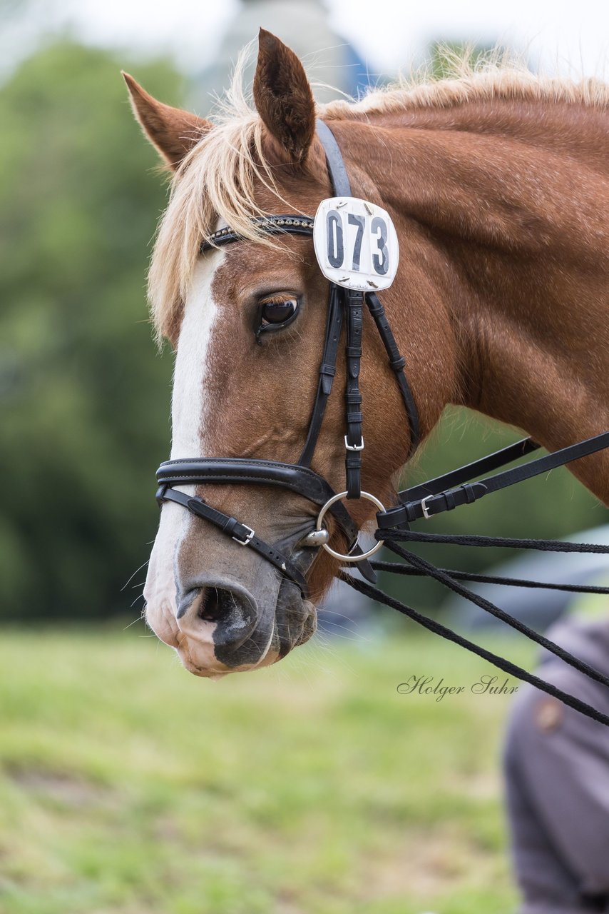 Bild 198 - Pony Akademie Turnier